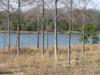 Lot 11 Gardenia Dr (lot 11)
 Ninety Six SC 29666